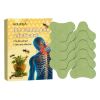 Houkea Bee Venom Neck Care Patch Herbal Ingredients For Joints, Knees, Lumbar Spine, Shoulders, Neck, Muscles And Bone Aches