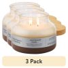 (3 pack)Leather and Musk Scented 2-Wick 18oz Ombre Bell Jar Candle