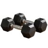 Rubber Dumbbells Weight Set, Total 20lbs(10lbs Each) Dumbbell Hand Weight for Body Fitness Training for Home Office Gym, Black