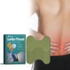 Ximonth Lumbar Flexure Herbal Setting Plaster, Lumbar Soreness Lumbar Disc Protrusion Activating Muscles And Bones Lumbar Care Patch