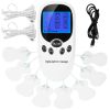 Electric Muscle Stimulator Dual Channels Pulse Massager Pain Relief Therapy Tens Device with Electrode Pads Wires